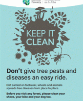 A4 Keep it Clean forest biosecurity poster standard